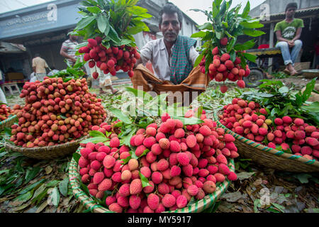 Die litschi Großhändler zeigt ihre grosse Lychee Bündel in Shimultoli Bazar an Rooppur, Ishwardi, Bangladesch. Stockfoto