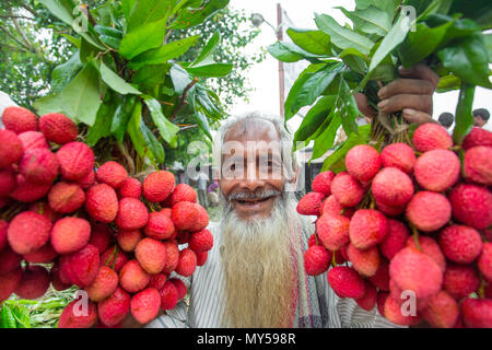 Die litschi Großhändler zeigt ihre grosse Lychee Bündel in Shimultoli Bazar an Rooppur, Ishwardi, Bangladesch. Stockfoto