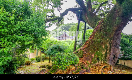 Fukuoka, Fukuoka, China. 6. Juni, 2018. Dazaifu Tenman-gÃ…Â" ist ein Shintō-Schrein in Dazaifu in der Präfektur Fukuoka, Japan. Es ist über das Grab von Sugawara no Michizane (845Ã¢â'¬ 903) erbaut und ist eines der wichtigsten Heiligtümer zu Tenjin, vergöttert Form der Michizane gewidmet. Credit: SIPA Asien/ZUMA Draht/Alamy leben Nachrichten Stockfoto