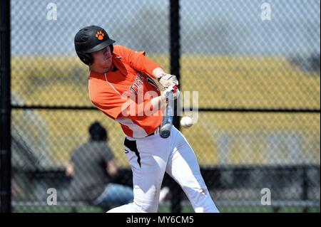 Teig die Kontaktaufnahme mit einem pitch zu einer Linie drive base Hit. USA. Stockfoto