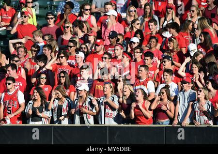 Student Abschnitt in starke Beweise und Voice Anfeuern ihrer Mannschaft während einer High School Baseball Playoff Spiel. USA. Stockfoto