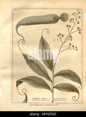 . Englisch: Nepenthes zeylanicus distilatoria von Thesaurus, t. 17 (1737). 3. juni 2012, 03:57:46. Johannes Burmann 384 Nepenthes zeylanicus distilatoria-Thesaurus (1737) Stockfoto