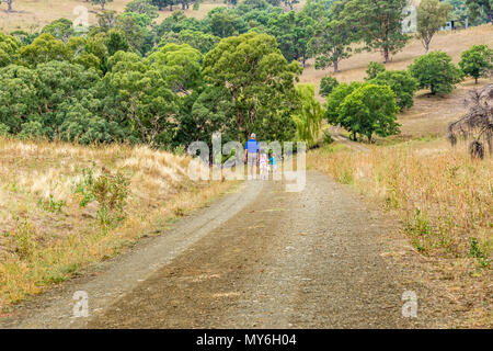 Der Großvater mit seinem Enkel auf einem Pfad in den oberen Hunter Valley, NSW, Australien. Stockfoto