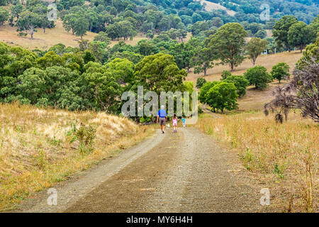 Der Großvater mit seinem Enkel auf einem Pfad in den oberen Hunter Valley, NSW, Australien. Stockfoto