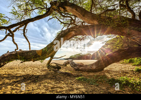 Eindruck von Makena Beach in Maui, Hawaii Stockfoto