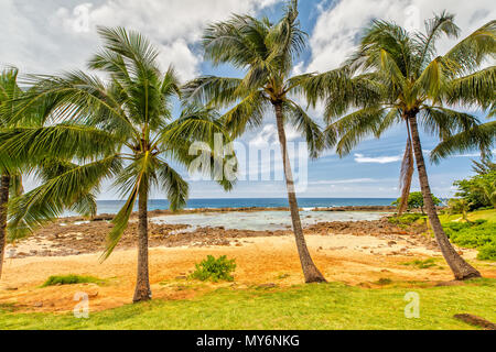 Schöner Strand in Oahu Stockfoto