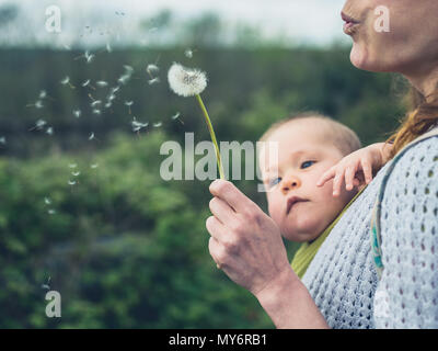 Eine junge Mutter mit Baby im Tragetuch weht die Samen von einem Löwenzahn Stockfoto