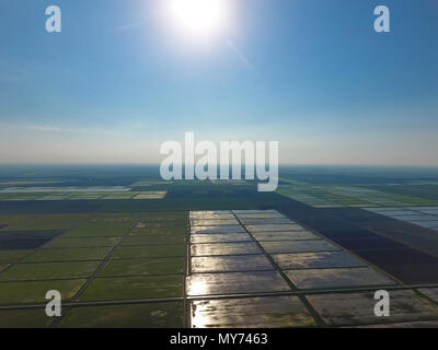 Die reisfelder sind mit Wasser überflutet. Landschaft vor der Sonne. Überfluteten Reisfeldern. Agronomischen Methoden der Reisanbau in den Bereichen. Stockfoto