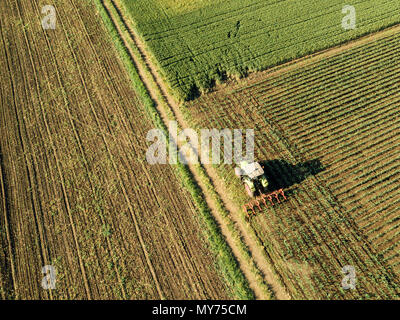 Traktor Anbau von Mais Getreidefeld, Luftaufnahme von Drone pov Stockfoto