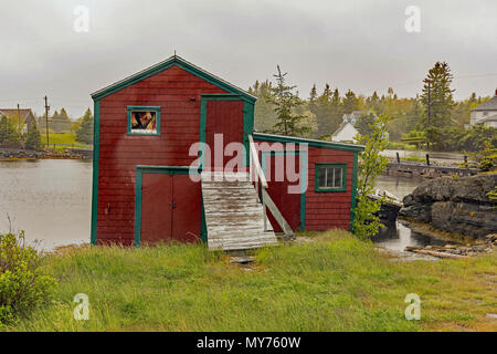 Fisherman's Hütten entlang der alten blauen Felsen Road außerhalb von Lunenburg, Nova Scotia, Kanada Stockfoto