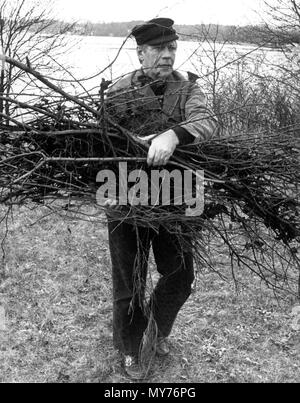 Bundeskanzler Helmut Schmidt sammelt Brennholz für die osterfeuer während der Osterferien in Langwedel, Deutschland, am 31. März 1975. | Verwendung weltweit Stockfoto