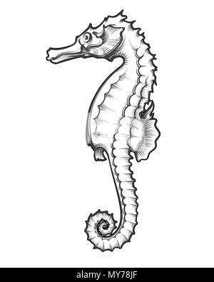 Sea Horse in Gravur Tattoo Stil gezeichnet. Vector Illustration Stock Vektor