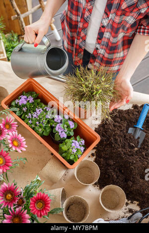 Ansicht von oben auf einen Gartentisch mit Boden, Werkzeuge, Töpfe, Blumen und eine Frau, Bewässerung von Pflanzen Stockfoto