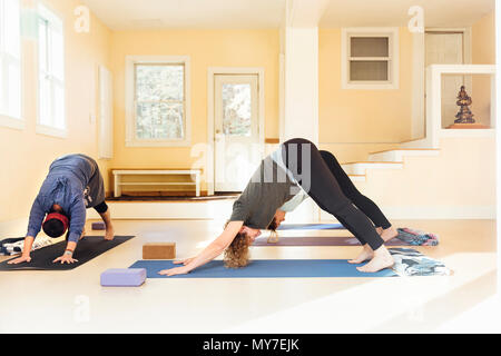 Lehrer und Frauen üben in den nach unten schauenden Hund (Adho Mukha Svanasana) Yoga pose im Yoga Studio Stockfoto