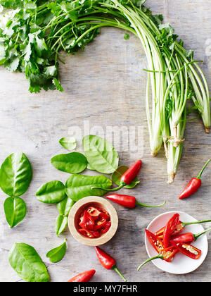 Koriander, Chili, kaffernlimette Blätter Stockfoto