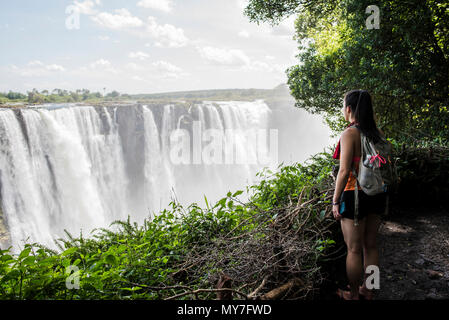 Junge weibliche Touristen auf der Suche nach Victoria Falls, Simbabwe, Afrika Stockfoto