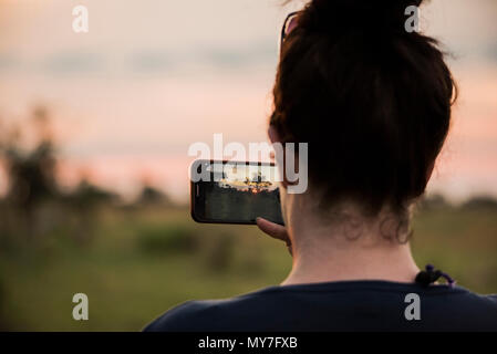 Junge Frau fotografieren mit Smartphone auf Okavango Delta, Rückansicht, Botswana, Afrika Stockfoto