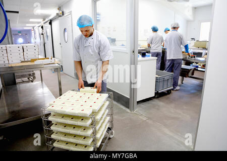 Käser Verpackung Käse an Lieferanten senden Stockfoto