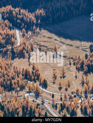 Herbstliche Farben, Dolomiten, Cortina d'Ampezzo, Venetien, Italien Stockfoto