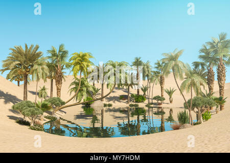 Oasis und Palmen in Wüste, 3D-Rendering Stockfoto
