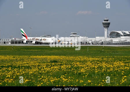 Emirate, Airbus A380-800, spezielle Version, United für die Tierwelt, Rollen auf der Rollbahn, vor Terminal 1 und Tower Stockfoto