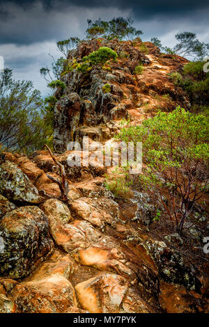 Wanderweg auf den Gipfel des Mount Ngungun, Australien Stockfoto