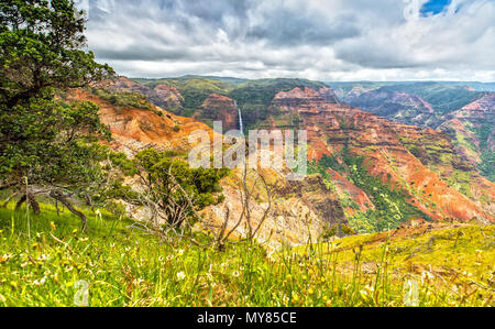 Waipoo fällt in Waimea Canyon, Kauia, Hawaii Stockfoto