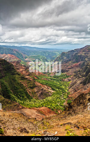 Waimea Canyon von Puu Hinahina Aussichtspunkt Stockfoto