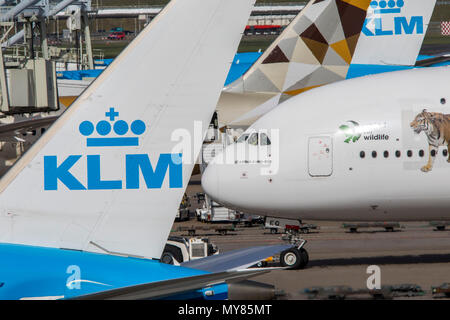 Emirates Airbus A 380-861, United für die Tierwelt Design, am Amsterdamer Flughafen Schiphol, in Nordholland, Niederlande, KLM Flugzeuge, Stockfoto