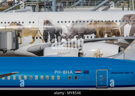 Emirates Airbus A 380-861, United für die Tierwelt Design, am Amsterdamer Flughafen Schiphol, in Nordholland, Niederlande, KLM Flugzeuge, Stockfoto