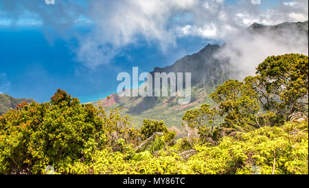 Panorama Blick über Kalalau Tal, Kauai, Hawaii Stockfoto