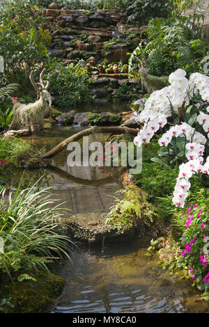 Stream mit Orchideen und tropischen Büschen Queen Sirikit Botanischer Garten Mae Rim Bezirk Nord Thailand Stockfoto