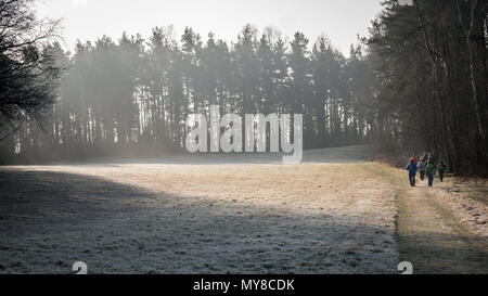 Menschen, die in den frühen Morgenstunden einer Landstraße durch eine zugefrorene Landschaft folgen. Das Sonnenlicht beleuchtet die Naturszene. Stockfoto