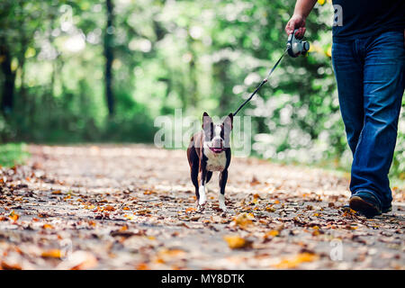 Mann, Hund in ländlicher Umgebung, niedrige Abschnitt Stockfoto