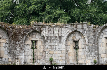 York UK. Nahaufnahme von einem Teil der Ruinen der historischen Mauer rund um die Stadt York, Yorkshire, Mauerwerk und viel Grün. Stockfoto