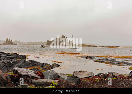 Blick auf Angeln am Anker Boote in Blaue Steine, Lunenburg, Nova Scotia, Kanada. Stockfoto