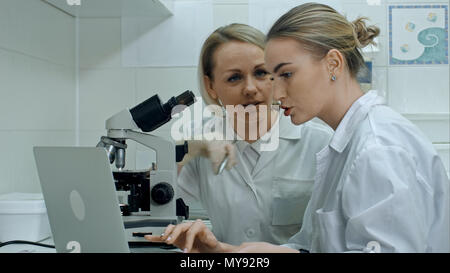 Zwei junge labortechniker mit Laptop und einem Mikroskop im Labor Stockfoto