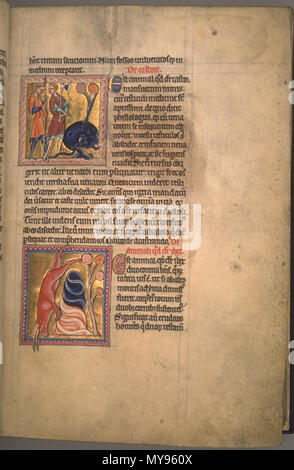 . Der Biber und der Steinbock. Folio 11 recto vom Aberdeen Bestiary. 12. Jahrhundert 20 AberdeenBestiaryFolio 011 rBeaverAndIbex Stockfoto