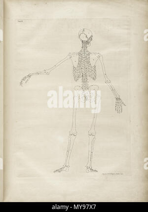 . Englisch: Autor: Schmidt, Bernhard Siegried, 1697-1770. Artist: Wandelaar, Jan, 1690-1759. Graveure: Charles Grignion (1717-1810); Jean-Baptiste Scotin (b. 1678); Ludovico-Antonio Ravenet (Fl. 1751); und Louis-Pierre Boitard (Fl. 1750). Titel: Tabulae sceleti et musculorum corporis Humani. Titel, wie es auf der Titelseite erscheint: Bernardi Siegfried Albini Tabulae sceleti et musculorum corporis Humani. Publikation: Londini: Typis H. Woodfall, impensis Johannis et Pauli Knapton, M.DCC. Xlix. [1749]. Sortierung: [94] S., XXV [d. h. 40] Blätter der Platten; 72 cm. Allgemeine Hinweise: Erste in Le veröffentlicht. Stockfoto