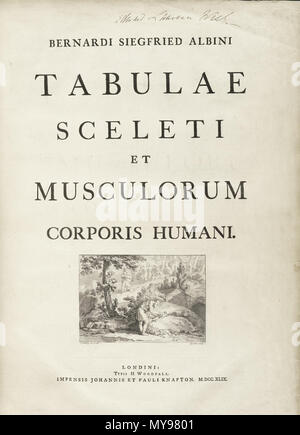 . Englisch: Autor: Schmidt, Bernhard Siegried, 1697-1770. Artist: Wandelaar, Jan, 1690-1759. Graveure: Charles Grignion (1717-1810); Jean-Baptiste Scotin (b. 1678); Ludovico-Antonio Ravenet (Fl. 1751); und Louis-Pierre Boitard (Fl. 1750). Titel: Tabulae sceleti et musculorum corporis Humani. Titel, wie es auf der Titelseite erscheint: Bernardi Siegfried Albini Tabulae sceleti et musculorum corporis Humani. Publikation: Londini: Typis H. Woodfall, impensis Johannis et Pauli Knapton, M.DCC. Xlix. [1749]. Sortierung: [94] S., XXV [d. h. 40] Blätter der Platten; 72 cm. Allgemeine Hinweise: Erste in Le veröffentlicht. Stockfoto