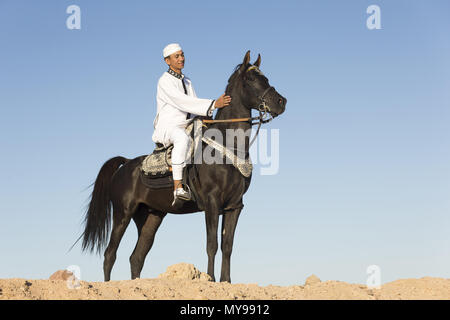 Arabische Pferd. Reiter auf schwarzen Hengst steht in der Wüste. Ägypten Stockfoto