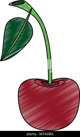 Cherry köstliche Frucht scribble Stock Vektor