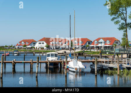 Hafen, Haffplatz, Promenade, Rerik, Ostseebad, Mecklenburg-Vorpommern, Deutschland Stockfoto