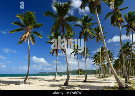 Die wilden Strand und hart auf der Halbinsel Samana in der Dominikanischen Republik zu erreichen. Stockfoto