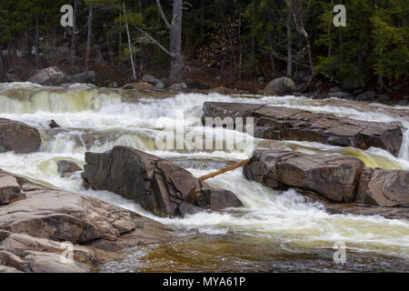 Untere fällt auf die Swift Fluss in Albany, New Hampshire USA in den Frühlingsmonaten. Diese Fälle sind entlang der Kancamagus Highway (Route 112) entfernt Stockfoto
