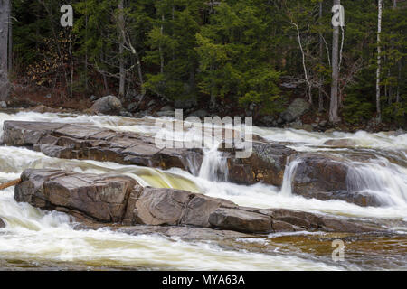 Untere fällt auf die Swift Fluss in Albany, New Hampshire USA in den Frühlingsmonaten. Diese Fälle sind entlang der Kancamagus Highway (Route 112) entfernt Stockfoto