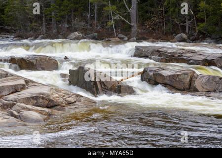 Untere fällt auf die Swift Fluss in Albany, New Hampshire USA in den Frühlingsmonaten. Diese Fälle sind entlang der Kancamagus Highway (Route 112) entfernt Stockfoto