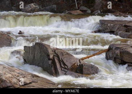 Untere fällt auf die Swift Fluss in Albany, New Hampshire USA in den Frühlingsmonaten. Diese Fälle sind entlang der Kancamagus Highway (Route 112) entfernt Stockfoto