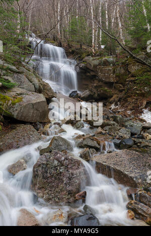 Ein Saisonaler Wasserfall in einem alten Erdrutsch Pfad auf der Westflanke des Mount Lafayette in Franconia Notch, New Hampshire in den Frühlingsmonaten. Stockfoto