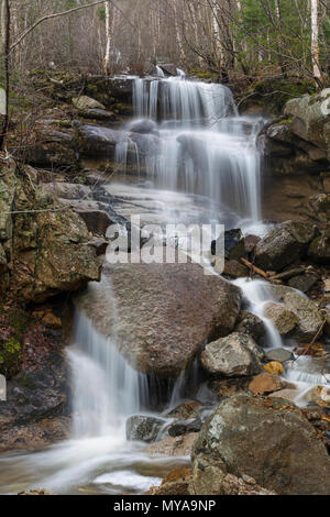 Ein Saisonaler Wasserfall in einem alten Erdrutsch Pfad auf der Westflanke des Mount Lafayette in Franconia Notch, New Hampshire in den Frühlingsmonaten. Diese Stockfoto